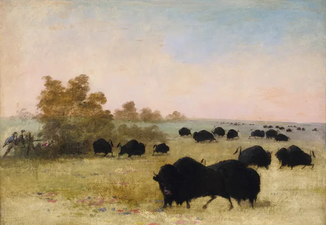 Catlin y su grupo acechando al bisonte, alto Misuri, George Catlin