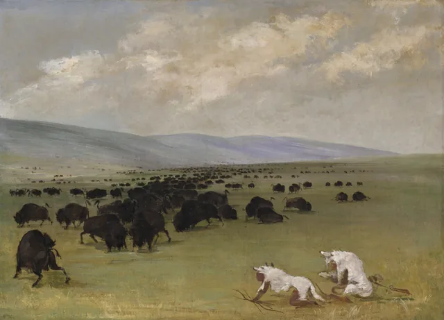 Catlin and His Indian Guide Approaching Buffalo under White Wolf Skins