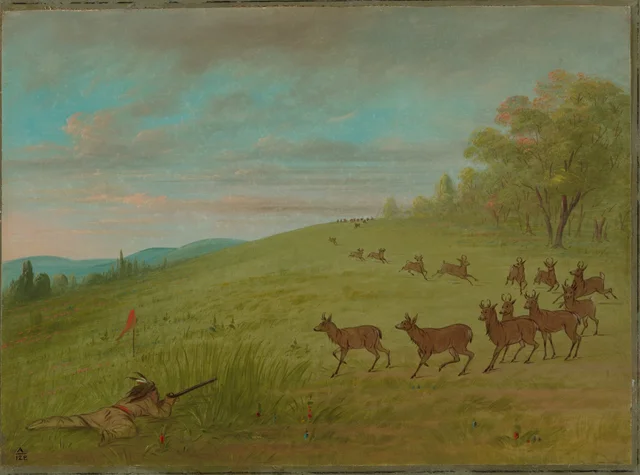 Antelope Shooting - Assinneboine