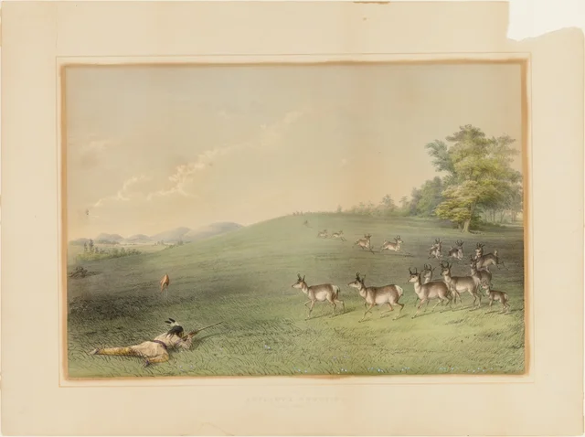 Antelope Shooting--no. 20