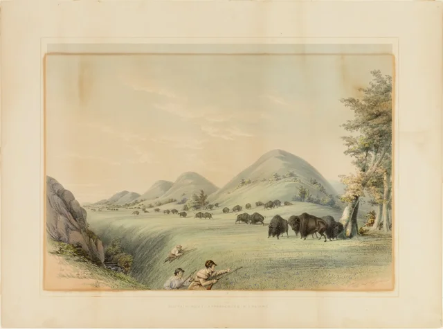 Buffalo Hunt; Approaching in a Ravine--no. 11
