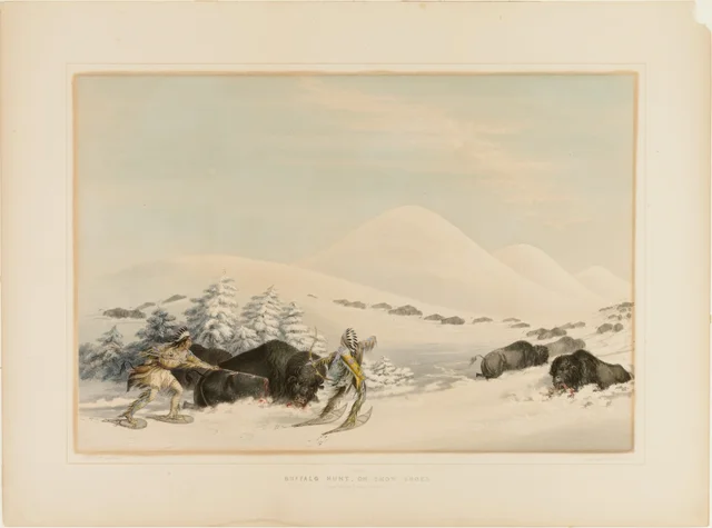 Buffalo Hunt, on Snowshoes--no. 15