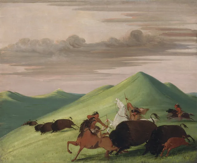 Buffalo Chase, Bull Protecting a Cow and Calf