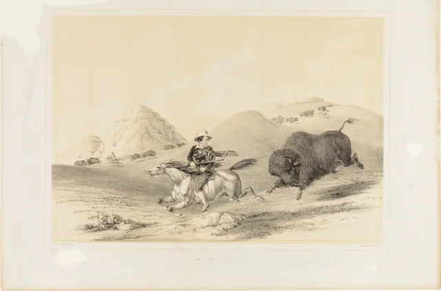 Buffalo Hunt Chasing Back no. 12