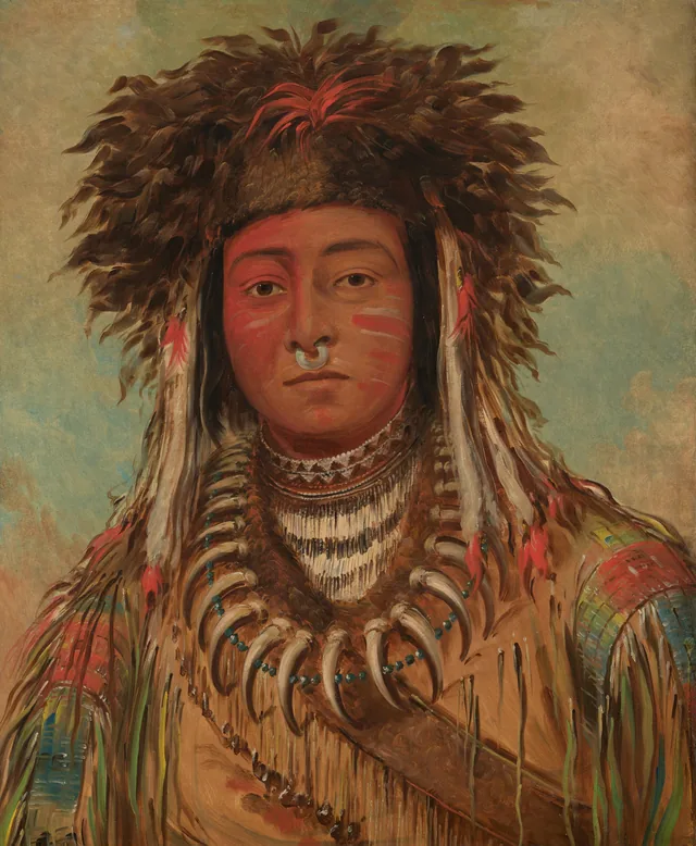 Boy Chief - Ojibbeway, George Catlin