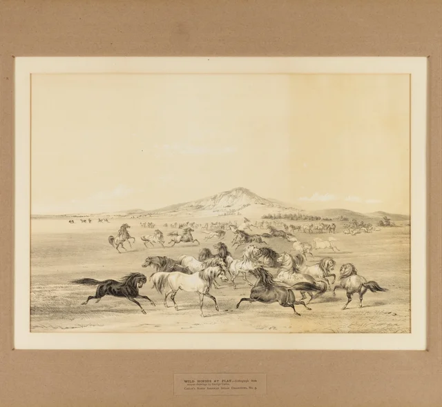 Wild Horses at Play--no. 3