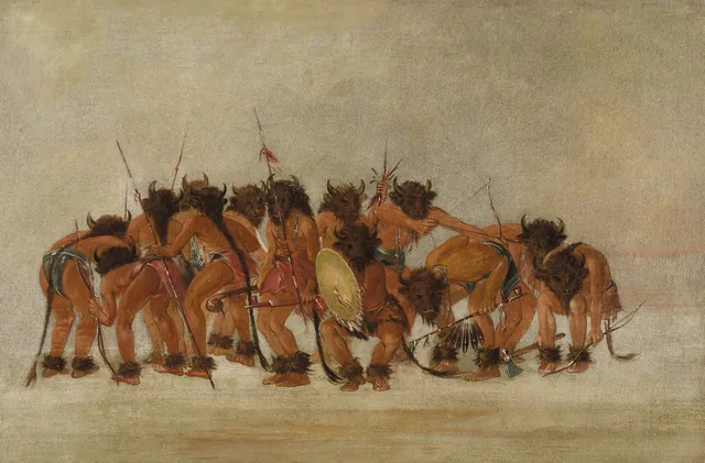 Dança do búfalo, mandans