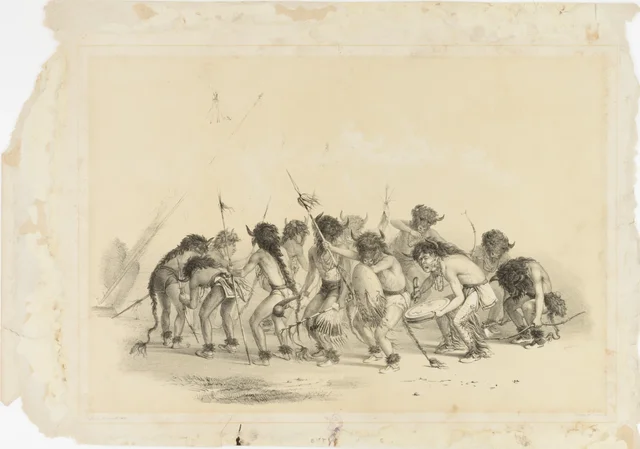 Dança do búfalo, no. 8