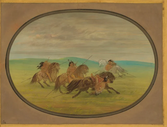 Camanchee Horsemanship