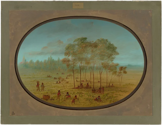 Kiowa Indians Gathering Wild Grapes