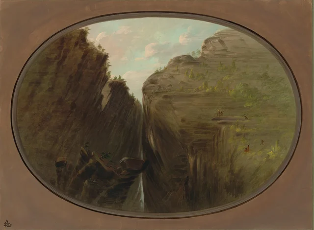 The Beetle Crevice