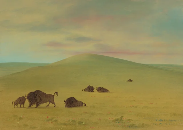 American Pasturage - Prairies of the Platte