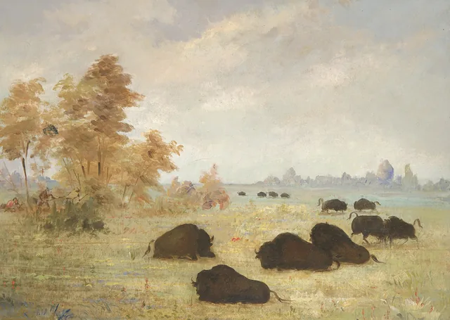 Espreitando búfalos, Arkansas