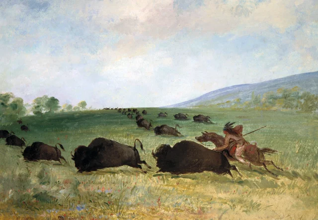 An Osage Indian Lancing a Buffalo