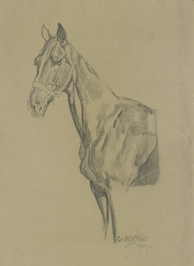 Estudo de cavalo, George W. Lambert