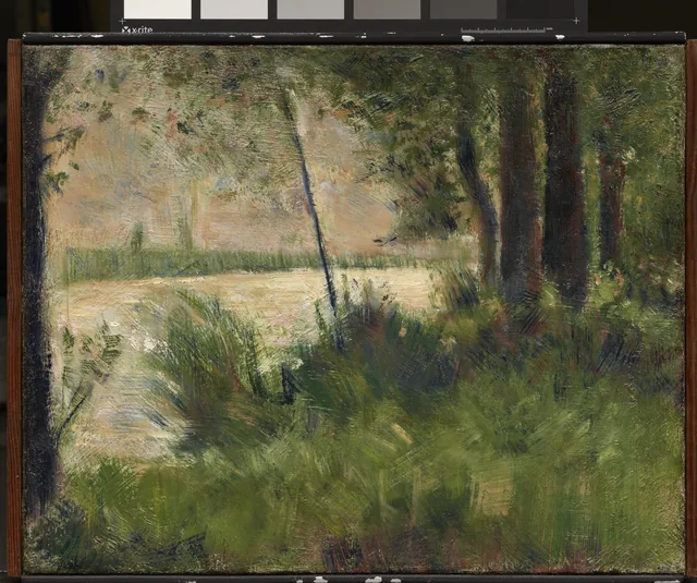 Grassy Riverbank