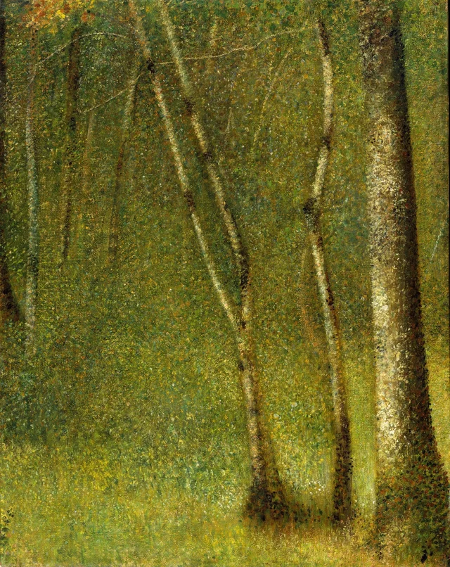 El bosque de Pontaubert