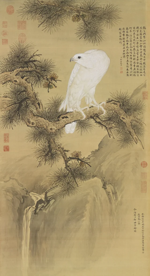 White Bird of Prey, Giuseppe Castiglione