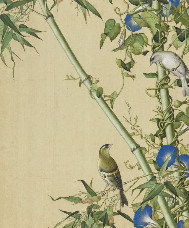 Immortal Blossoms in Eternal Spring: Green Bamboo and Morning Glory