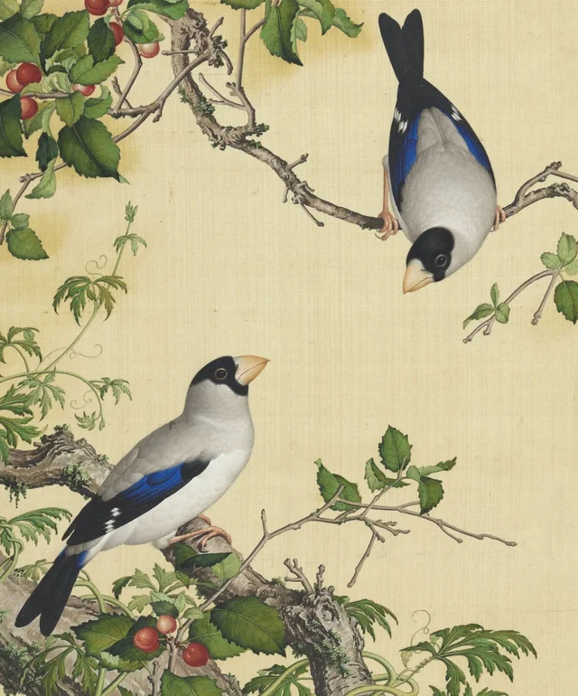 Fleurs immortelles, printemps éternel : cerisier et gros-bec, Giuseppe Castiglione