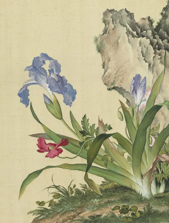 Fleurs immortelles, printemps éternel : coquelicots et iris papillon