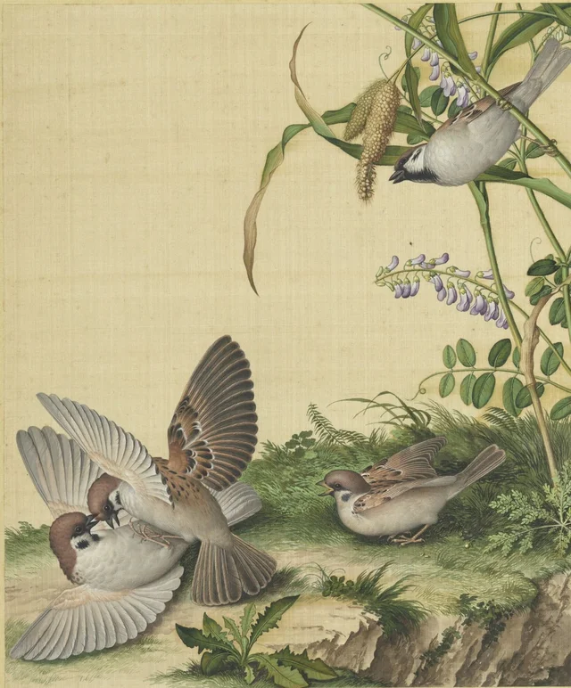 Immortal Blossoms in Eternal Spring: Bean Flowers and Millet Ears, Giuseppe Castiglione
