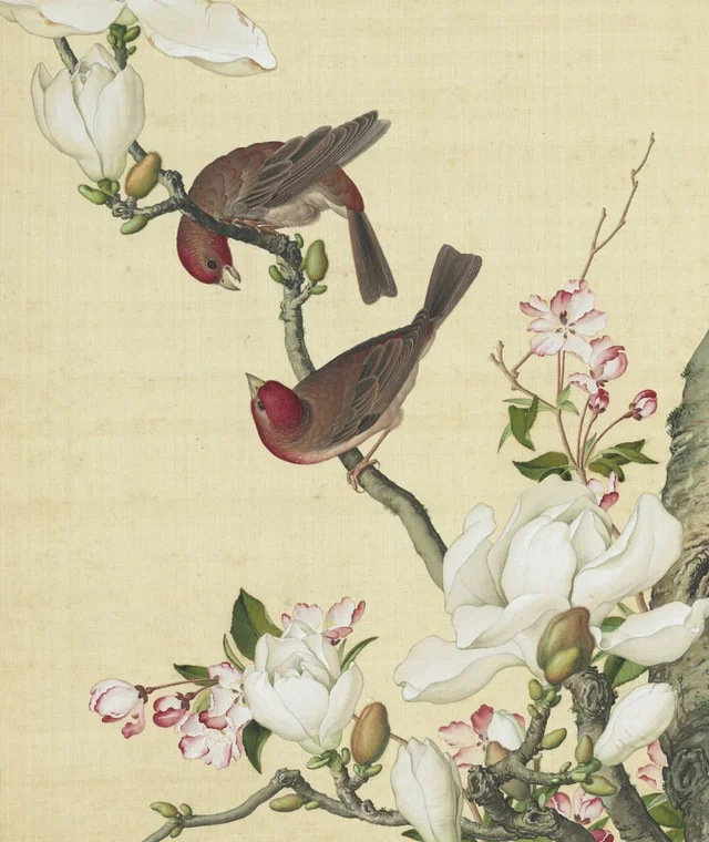 Fleurs immortelles, printemps éternel : pommier d'ornement et magnolia