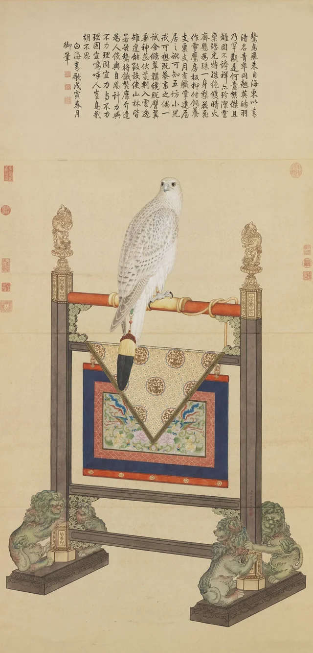 Gerfaut blanc, Giuseppe Castiglione