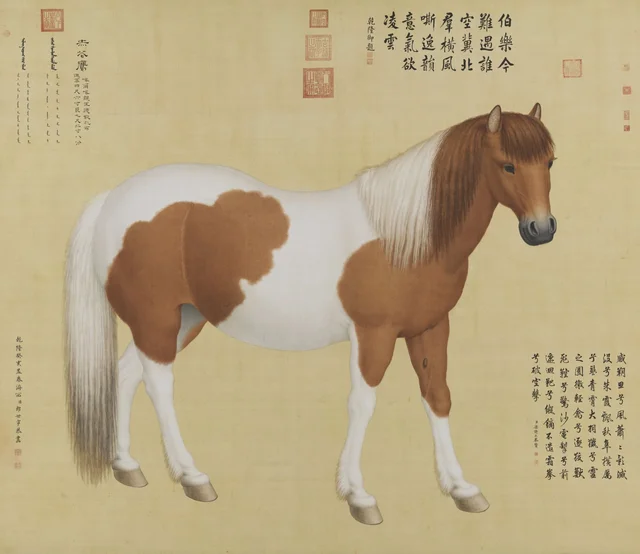 Ch'ih-hua Ying, Giuseppe Castiglione
