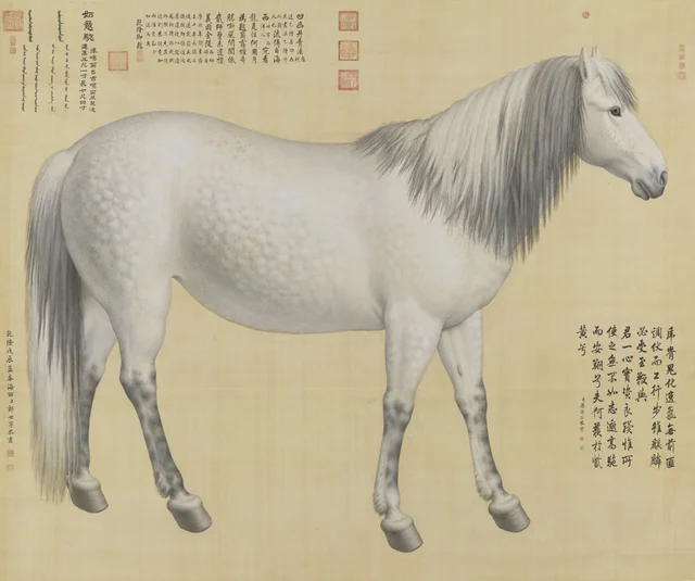 Ten Steeds (“As-You-Wish” Piebald), Giuseppe Castiglione