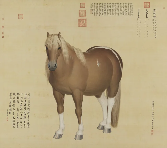 十駿図 雪點鵰