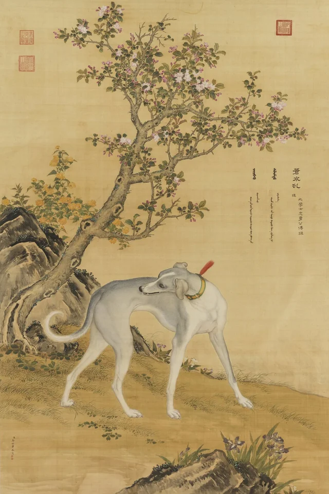 Les Dix Lévriers : Cangshui Qiu, Giuseppe Castiglione
