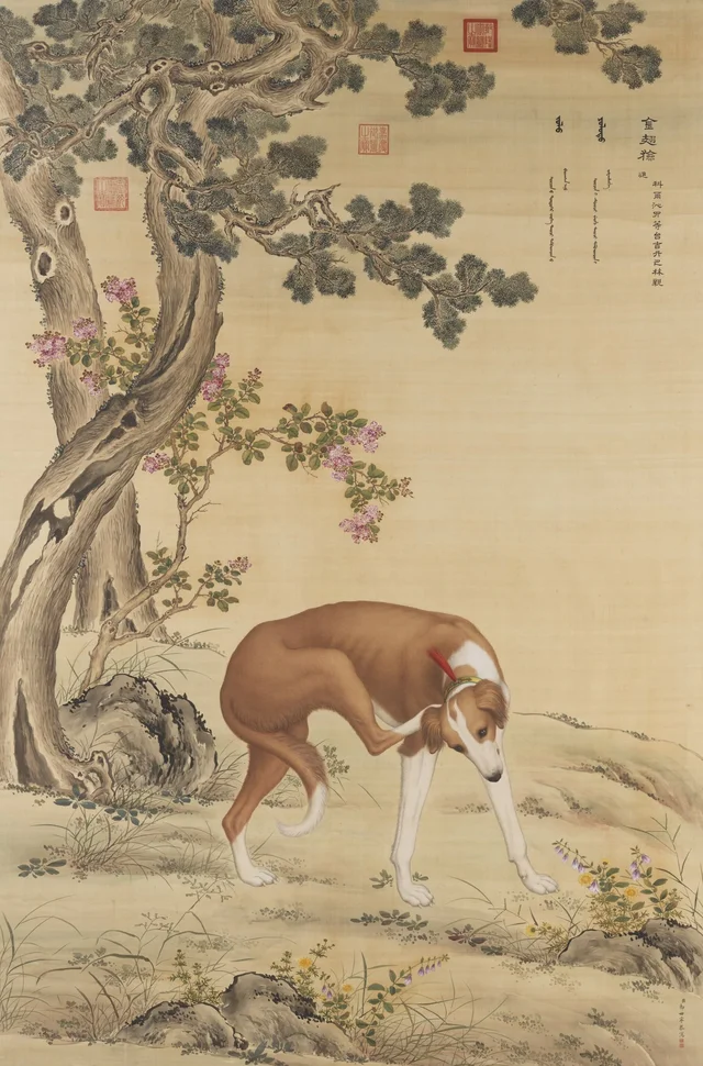 Les Dix Lévriers : Jinchi Xian