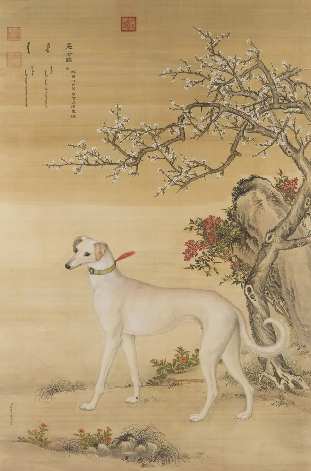 Les Dix Lévriers : Shuanghua Yao