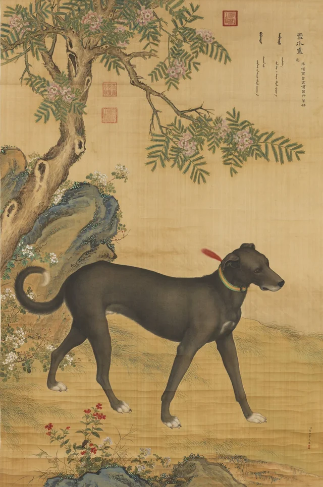 Los diez lebreles: Xuezhua Lu, Giuseppe Castiglione