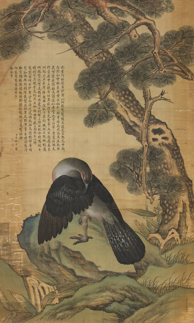 Oiseau sur un pin