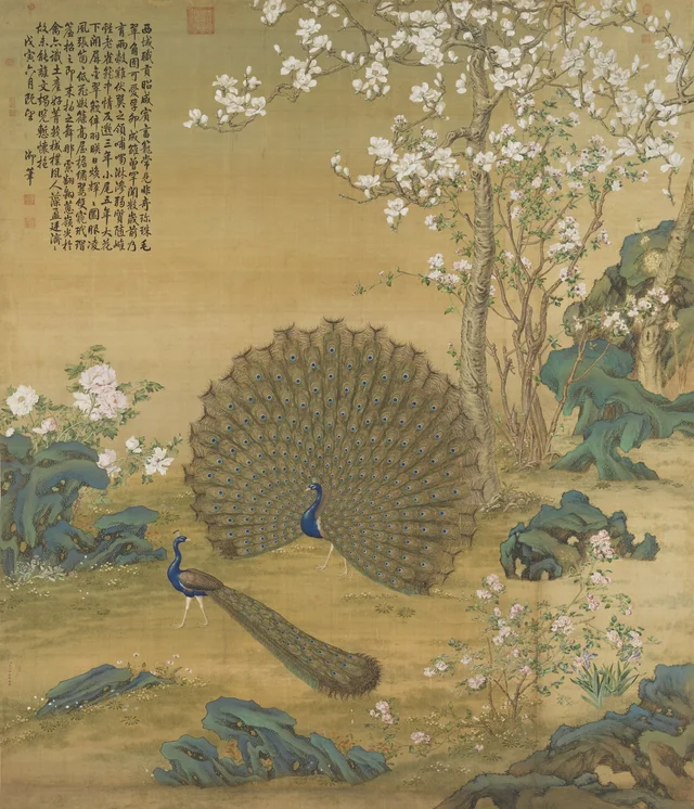 Peacock Spreading Its Tail Feathers, Giuseppe Castiglione