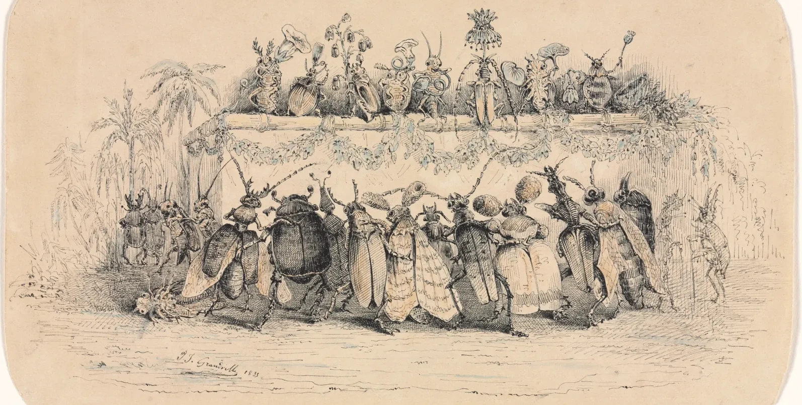 Um baile de insetos, Grandville