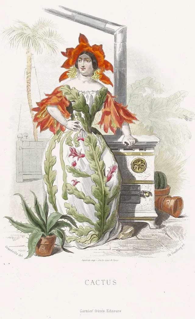 Cactus, Grandville