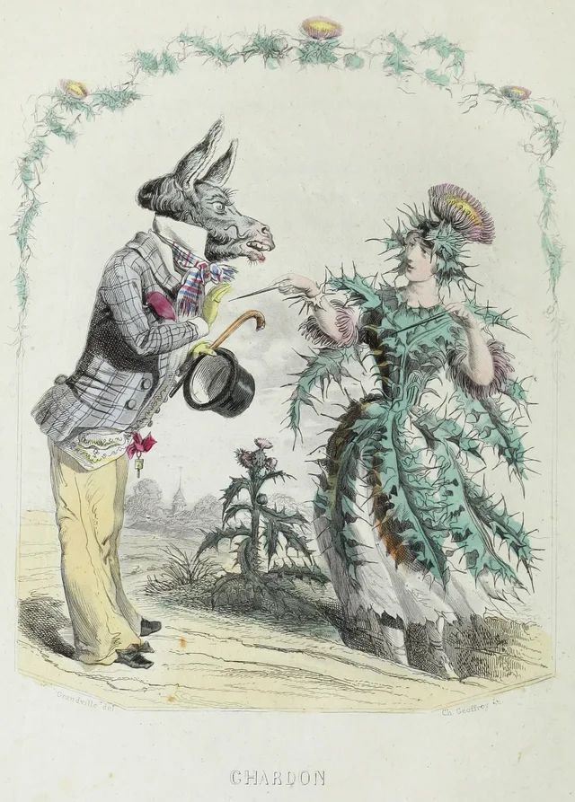 Thistle, Grandville
