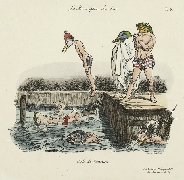 École de natation