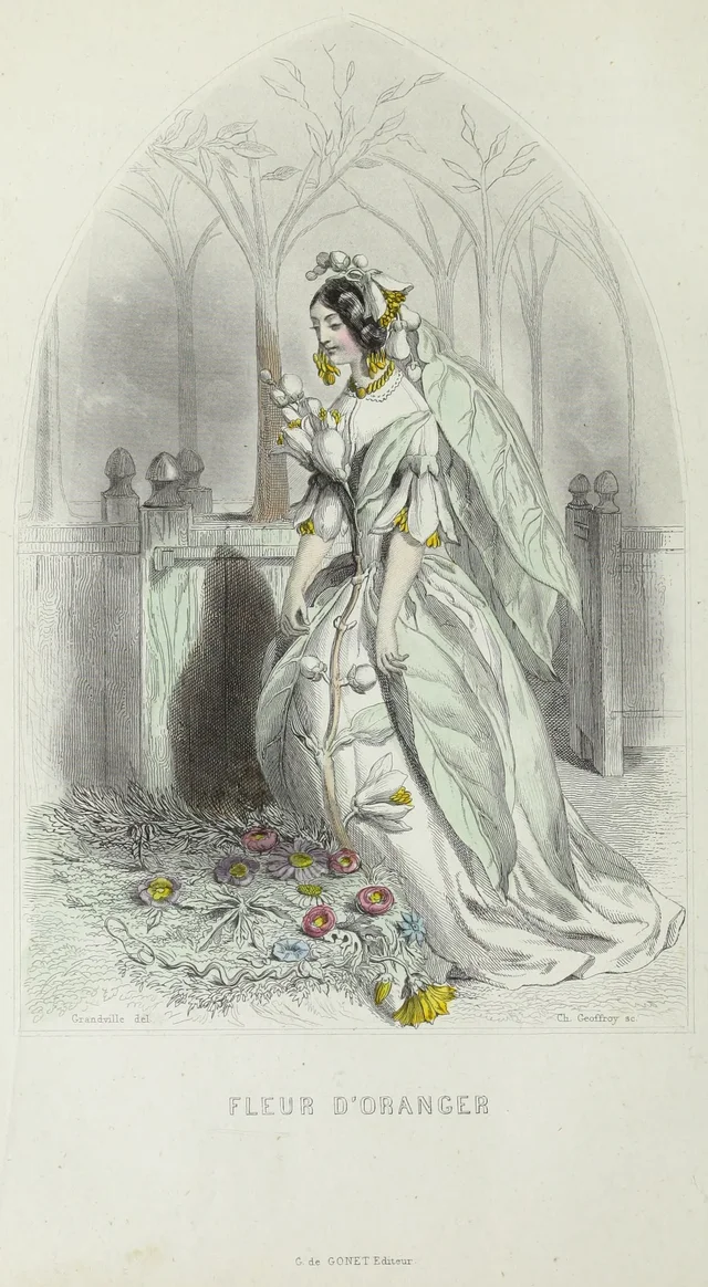 Flor de laranjeira, Grandville