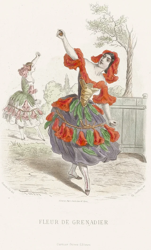 Pomegranate flower, Grandville