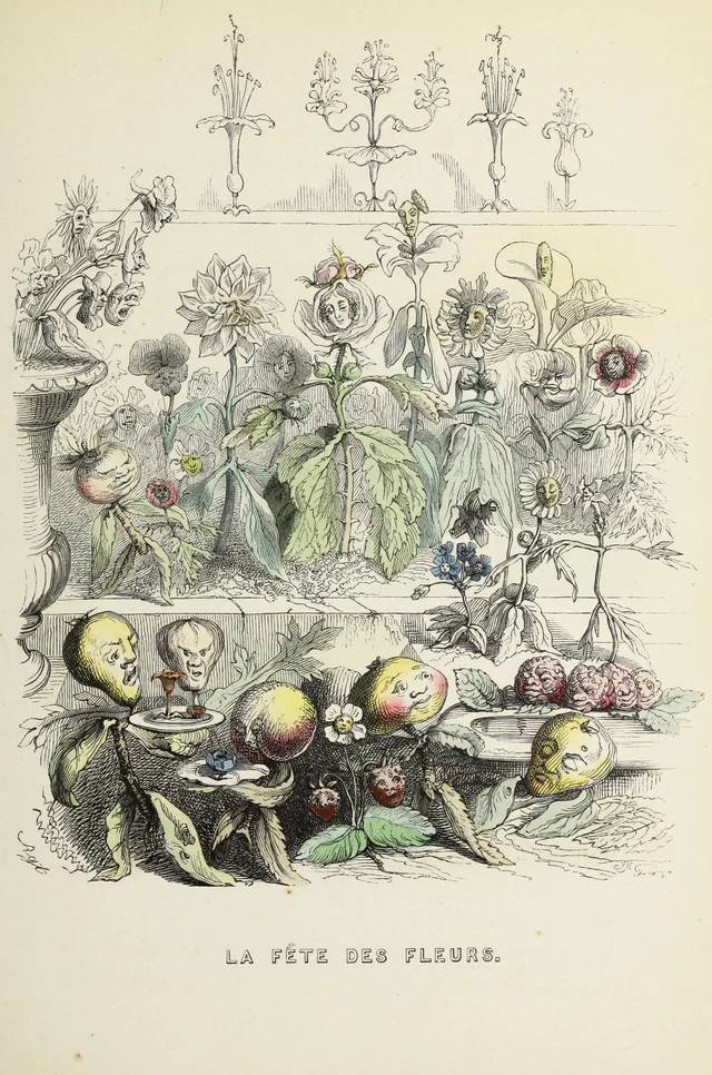 La fête des fleurs