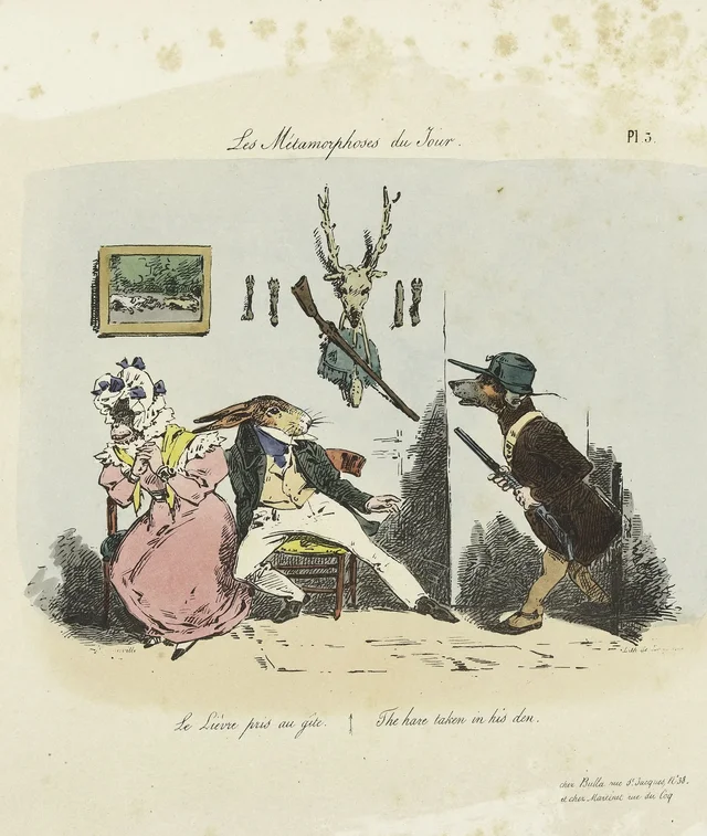 Le lièvre pris au gîte
