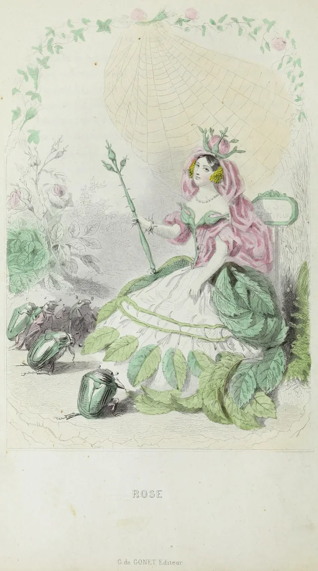 Rosa, Grandville
