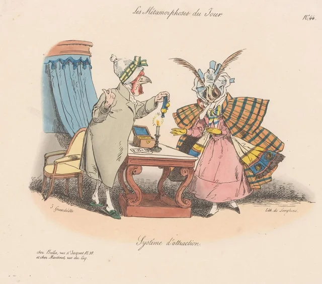 Système d'attraction