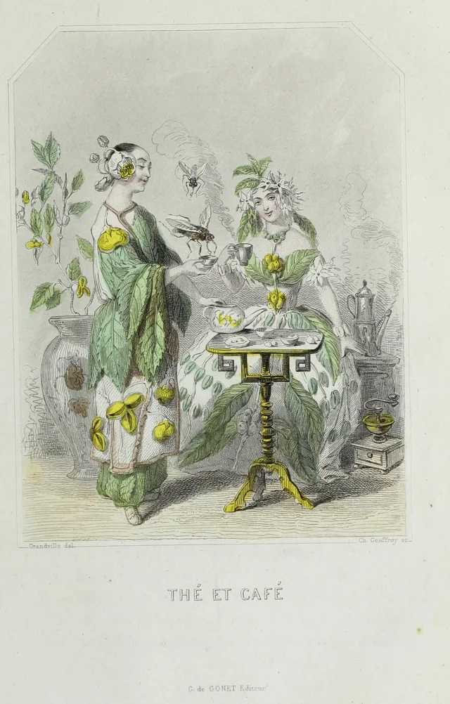 Tea and coffee, Grandville