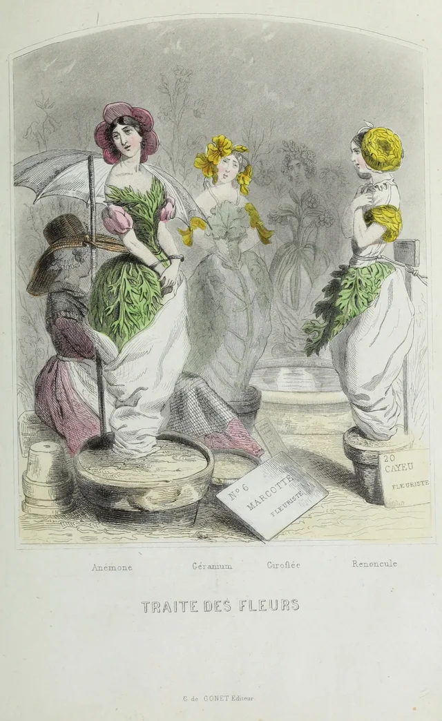 The flower trade, Grandville