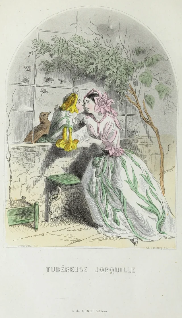 Tuberose, Jonquil, Grandville